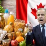 Mark Carney Government Passes The Groceries And Essentials Benefit In March 2026